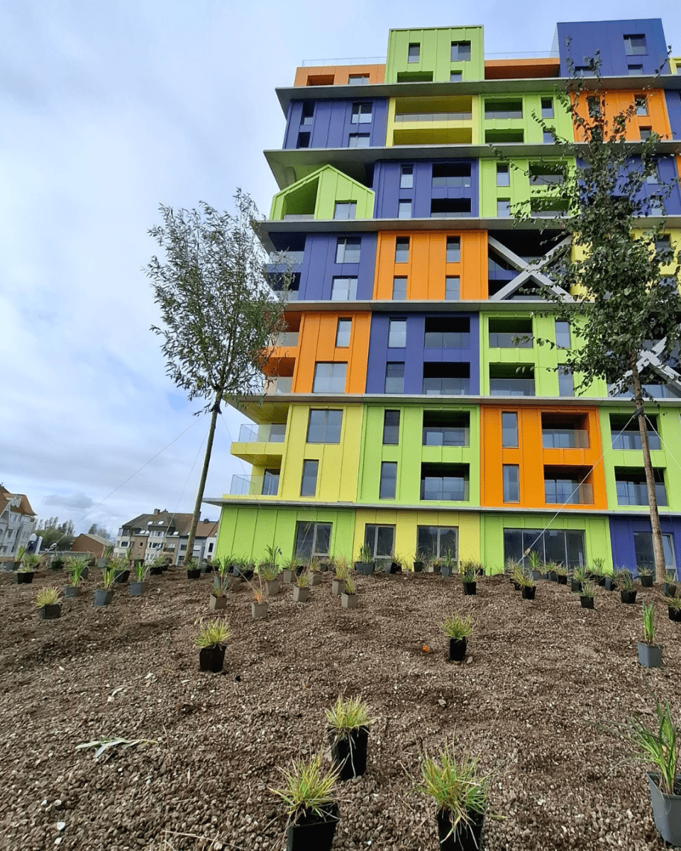Hoost Knokke groendak en bomen